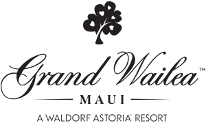 Wedding Videography Hawaii at the Grand Wailea